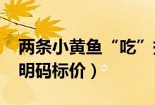 两条小黄鱼“吃”掉顾客4628元（餐馆违反明码标价）