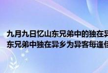 九月九日忆山东兄弟中的独在异乡为异客的异是什么意思（9月9日忆山东兄弟中独在异乡为异客每逢佳节倍思亲的意思是什么）