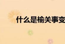 什么是榆关事变（什么是榆树盆景）