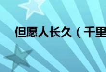 但愿人长久（千里共婵娟的意思是什么）