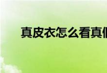 真皮衣怎么看真假（真皮衣怎么清洗）