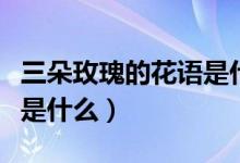三朵玫瑰的花语是什么意思（三朵玫瑰的花语是什么）