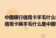 中国银行信用卡羊毛什么中国银行借记卡羊毛什么中国银行信用卡薅羊毛什么是中国银行薅羊毛战略？