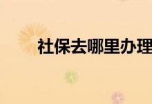 社保去哪里办理 有什么好处和用途 