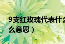 9支红玫瑰代表什么意思（9支红玫瑰代表什么意思）