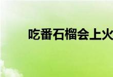 吃番石榴会上火吗（番石榴上火吗）