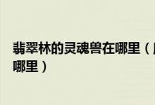 翡翠林的灵魂兽在哪里（魔兽世界潘达利亚翡翠林灵魂兽在哪里）