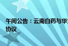 午间公告：云南白药与华为签署人工智能药物研发全面合作协议