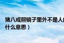 猪八戒照镜子里外不是人的（猪八戒照镜子—里外不是人是什么意思）