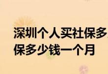 深圳个人买社保多少钱一个月 深圳个人买社保多少钱一个月 