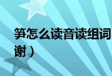 笋怎么读音读组词（笋怎么组词急用~~~谢谢）