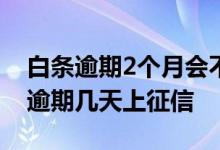 白条逾期2个月会不会影响征信 2021年白条逾期几天上征信