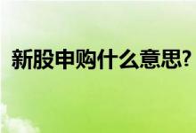 新股申购什么意思? 申购新股成功什么意思 