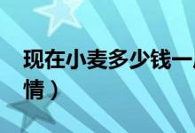 现在小麦多少钱一斤（2020最新价格走势行情）