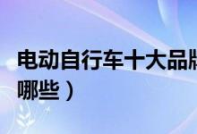 电动自行车十大品牌（电动自行车品牌排行有哪些）