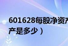 601628每股净资产（中国人寿601628净资产是多少）