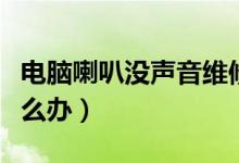 电脑喇叭没声音维修方法（电脑喇叭没声音怎么办）