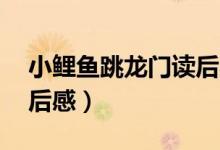 小鲤鱼跳龙门读后感20字（小鲤鱼跳龙门读后感）