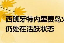 西班牙特内里费岛火势趋于稳定多地山林火灾仍处在活跃状态