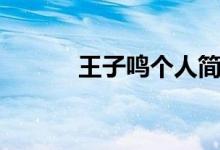 王子鸣个人简历（王子鸣是谁）