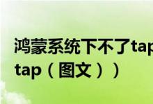 鸿蒙系统下不了taptap（鸿蒙系统怎么装taptap（图文））