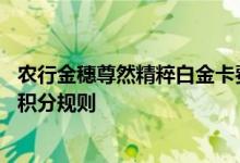 农行金穗尊然精粹白金卡费用说明 农行金穗尊然精粹白金卡积分规则