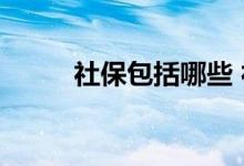 社保包括哪些 社保信息在哪里查 
