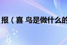 报（喜 鸟是做什么的 哪些题材包含报 喜 鸟）