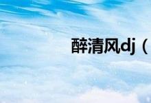 醉清风dj（醉清风的歌词）