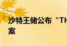 沙特王储公布“THELINE”城市项目设计方案