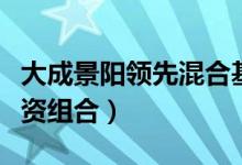 大成景阳领先混合基金怎么样（基金有哪些投资组合）