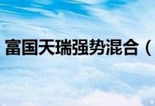富国天瑞强势混合（100022）基本信息查询