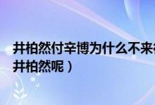 井柏然付辛博为什么不来往（为什么只有付辛博演微客帝国井柏然呢）
