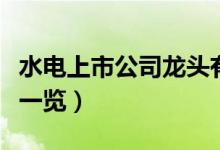 水电上市公司龙头有哪些（水电上市公司龙头一览）