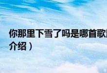 你那里下雪了吗是哪首歌里面的歌词（你那边下雪了吗歌词介绍）