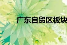广东自贸区板块股票龙头有哪些（）