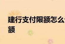 建行支付限额怎么设置 建行网上怎么设置限额