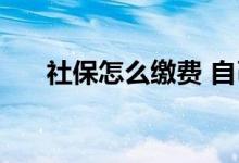社保怎么缴费 自己交社保有生育险吗 