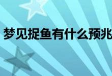 梦见捉鱼有什么预兆（梦见捉鱼有什么征兆）
