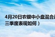 4月20日农银中小盘混合近1月来表现如何（基金2021年第三季度表现如何）