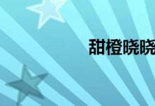 甜橙晓晓（甜橙借钱）