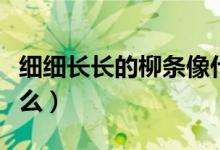 细细长长的柳条像什么（细细长长的柳条像什么）