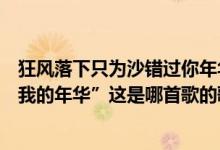 狂风落下只为沙错过你年华（“狂风依旧眷恋着沙你却错过我的年华”这是哪首歌的歌词）