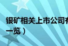银矿相关上市公司有哪些（银矿上市公司龙头一览）