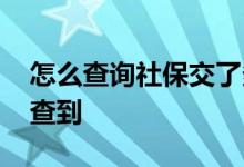 怎么查询社保交了多少年 社保缴费后多久能查到 