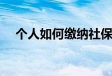 个人如何缴纳社保 个人社保有几个档次 