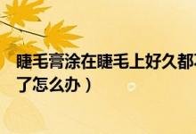 睫毛膏涂在睫毛上好久都不会干（睫毛膏因为太久没用变干了怎么办）