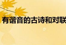 有谐音的古诗和对联（有谐音的古诗是什么）