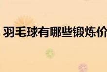 羽毛球有哪些锻炼价值（羽毛球有哪些规则）