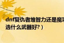 dnf复仇者堆智力还是魔攻（dnf复仇者是加智力还是力量?选什么武器好?）